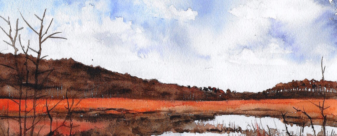 Opening Reception for Art Show of the Month- Wading Through Watercolors by Jayne Conte