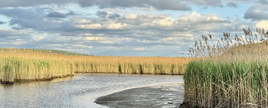 October Art Show- Julie Cahn: Our River, My Muse: Recent Paintings and Photos from the Shores of the Sparkill Creek, the Hudson River and the Mighty Atlantic Ocean they Flow Into