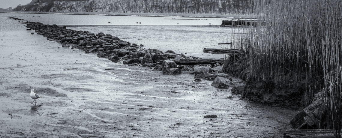 Opening Reception for April Art Show- Piermont in Plain Sight: Photographs by Mitch Eiss