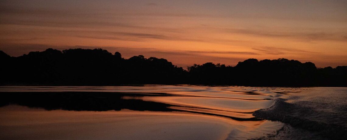 Art Show of the Month: Wonders of the Amazon Rainforest: Photographs by Michael Garber